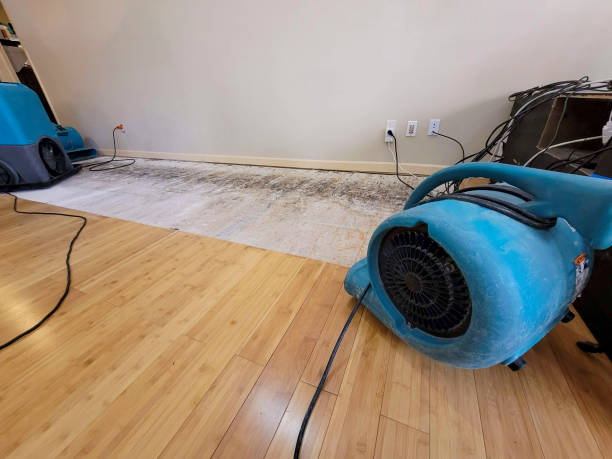 Professional Flood Damage Cleanup technician working in Springfield, OR